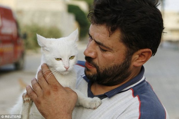 Uomo-eroe si prende cura dei gatti della guerra